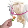 Mattel Barbie FRV36 Intelligens lovacska babával