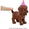 Mattel Barbie baba kutyás szülinapi bulija gyurmával