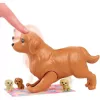 Mattel Barbie baba újszülött kiskutyákkal (csomagolássérült)