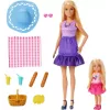 Mattel Barbie Family & Friends Barbie Malibu és Chelsea babák piknikezése