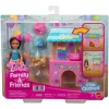 Mattel Barbie Club Chelsea születésnapi játékszett kutyussal