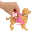 Mattel Barbie Malibu baba kutyasétáltatás játékszett