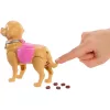 Mattel Barbie Malibu baba kutyasétáltatás játékszett
