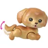 Mattel Barbie Pets trópusi kaland kiskutyával