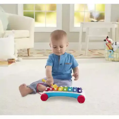 Mattel Fisher-Price - Guruló xilofon babáknak