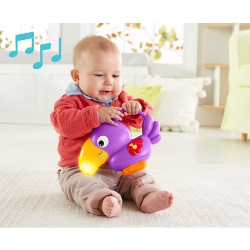 Mattel Fisher-Price DFP08 Esőerdős Deluxe játszószőnyeg