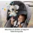   Mattel Fisher-Price - Interaktív ölelgethető plüss koala hanggal