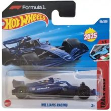  Mattel Hot Wheels Formula 1 Williams Racing kisautó