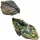 Mattel Jurassic World Micro Adventures Mutadon játékszett