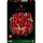 Lego Icons 10328 Rózsacsokor