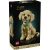 Lego Icons 11384 Golden retriever kiskutyus