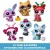 Littlest Pet Shop LPS - Littlest Pet Shop adventi kalendárium, naptár (pandamaci, bagoly, róka, őz, nyuszi, mosómedve)