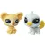 Hasbro Littlest Pet Shop LPS C3010 - Páros koala és kacsacsőrű emlős figuraszett 1. sorozat