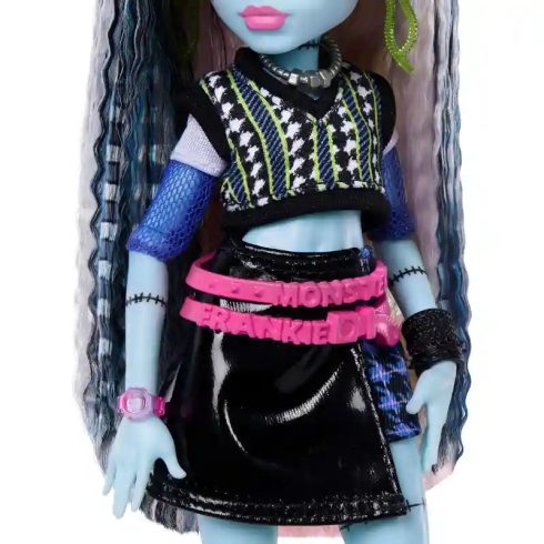 Mattel Monster High Frankie Stein baba kiegészítőkkel