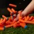 Hasbro Nerf N1 80db szivacslövedék