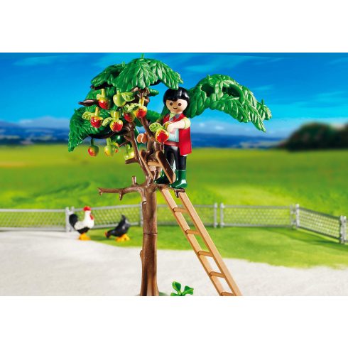 Playmobil 5120 Tanyasi ház bio árukkal és kis piaccal