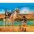 Playmobil 5389 Egyiptomi harcos tevével