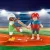 Playmobil 70313 Hordozható multisport szett