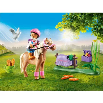 Playmobil 70514 Izlandi póni kiegészítőkkel