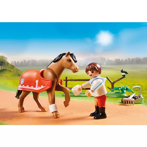 Playmobil 70516 Connemara póni kiegészítőkkel