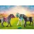 Playmobil 70999 Lovak felszereléssel