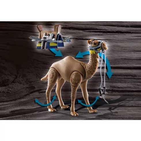 Playmobil 71028 Novelmore - Arwynn és harci tevéje