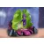 Playmobil 71215 Ayuma - Ködcsapda