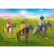 Playmobil 71239 Lovas piknik