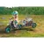 Playmobil 71524 A T-Rex nyomában
