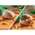 Playmobil 71526 Stegosaurus fészek Velociraptor dínóval