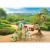 Playmobil 72070 Animals & Friends - Állatkert és kalandpark
