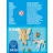 Playmobil 9438 Naptündér unikornis csikóval