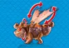 Playmobil 9460 Halvér és Bütyök