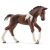 Schleich 13758 Trakehneni csikó