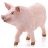 Schleich 13782 Disznó