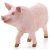 Schleich 13782 Disznó