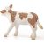 Schleich 13802 Fleckvieh szarvasmarha borjú