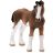Schleich 13810 Clydesdale csikó