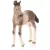Schleich 13822 Andalúziai csikó