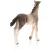 Schleich 13822 Andalúziai csikó