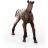 Schleich 13862 Appaloosa csikó
