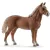Schleich 13869 Morgan csődör