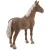 Schleich 13869 Morgan csődör