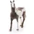 Schleich 13885 Amerikai foltos paripa