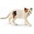 Schleich 13894 Amerikai rövidszőrű macska