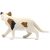 Schleich 13894 Amerikai rövidszőrű macska
