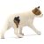Schleich 13894 Amerikai rövidszőrű macska