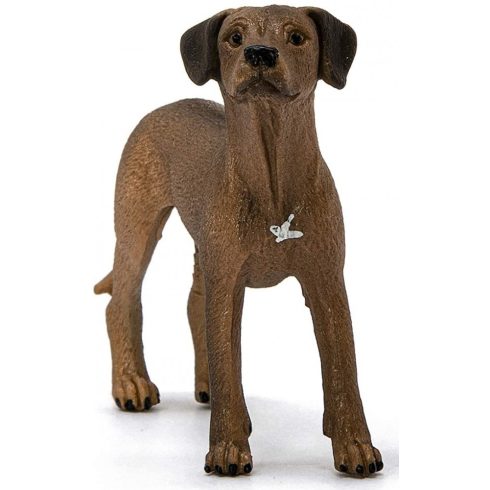 Schleich 13895 Afrikai oroszlánkutya