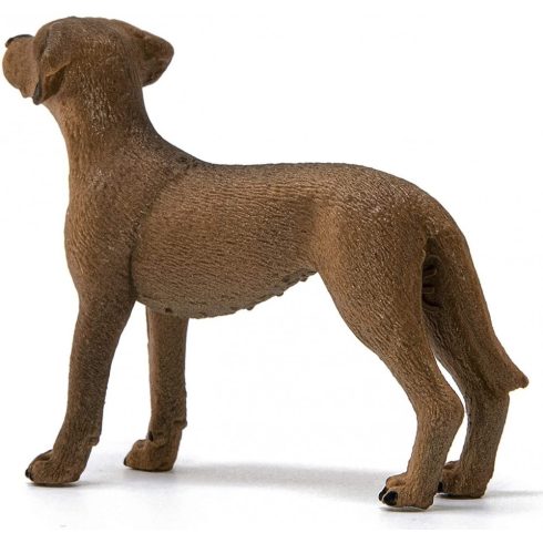 Schleich 13895 Afrikai oroszlánkutya