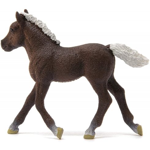 Schleich 13899 Schwarzwaldi csikó